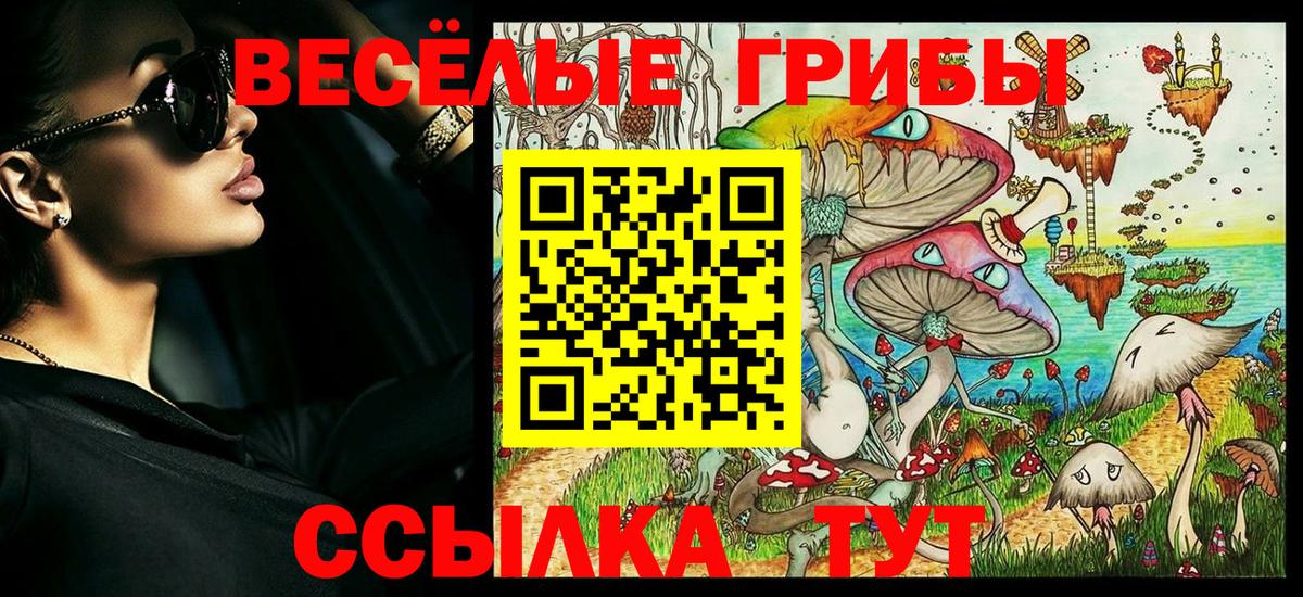 Псилоцибиновые грибы MAGIC MUSHROOMS  Псилоцибиновые грибы GOLDEN TEACHER  Стерлитамак  Вход с VPN 