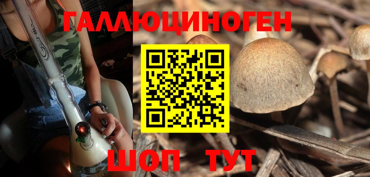Псилоцибиновые грибы MAGIC MUSHROOMS Стерлитамак